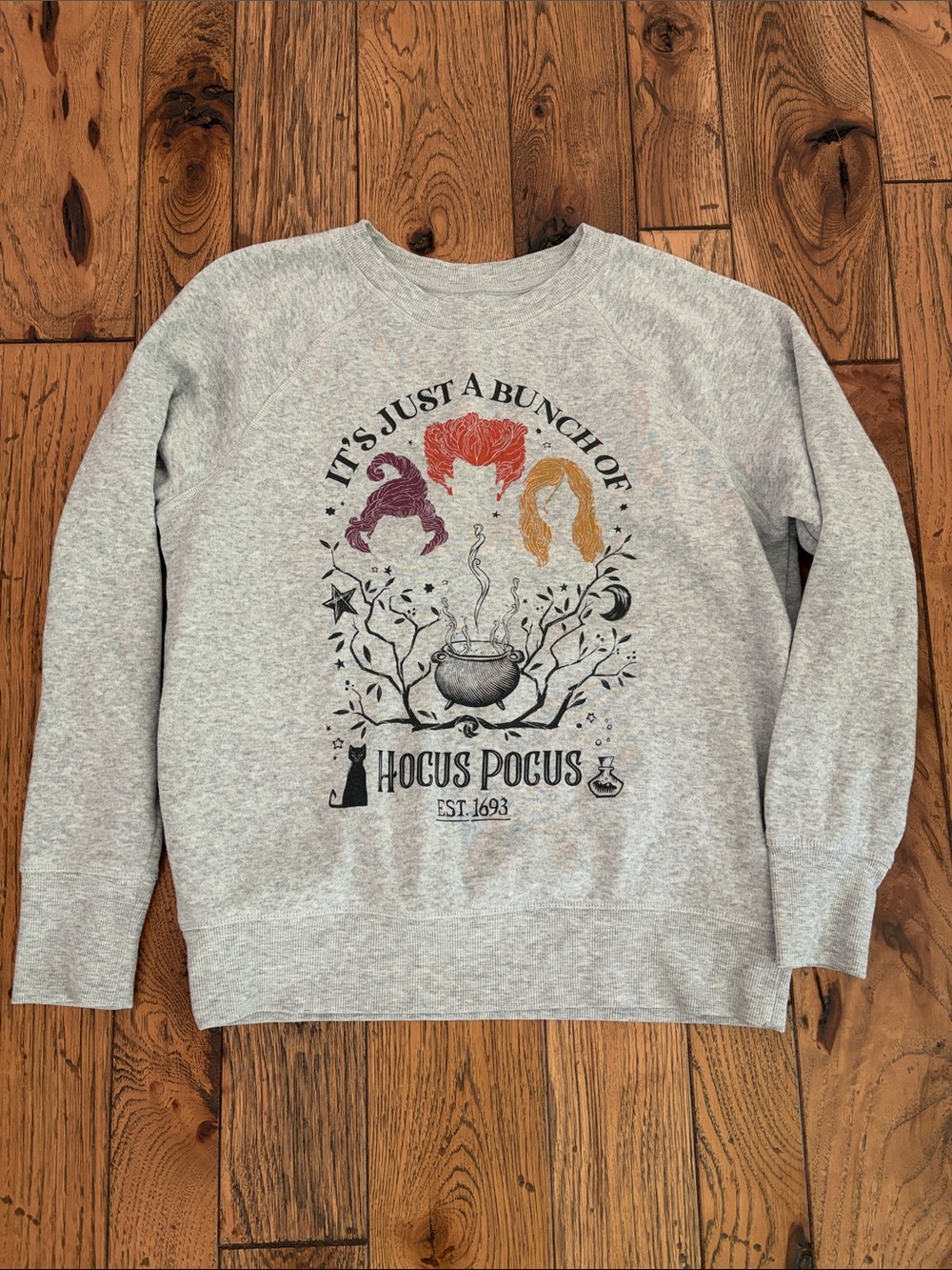 Hocus Pocus Graphic Crewneck Sweatshirt - Light Gray